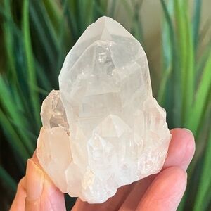 Pine Pineapple Quartz